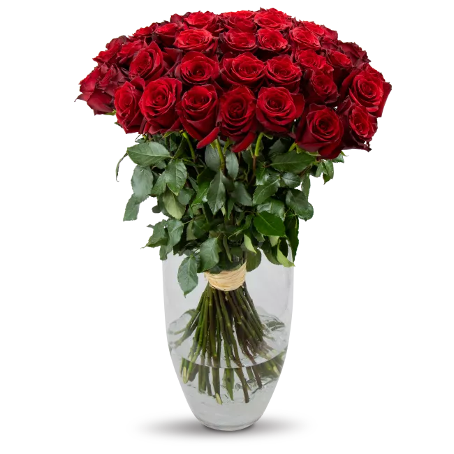 Kytice ekvádorských růží 80 cm